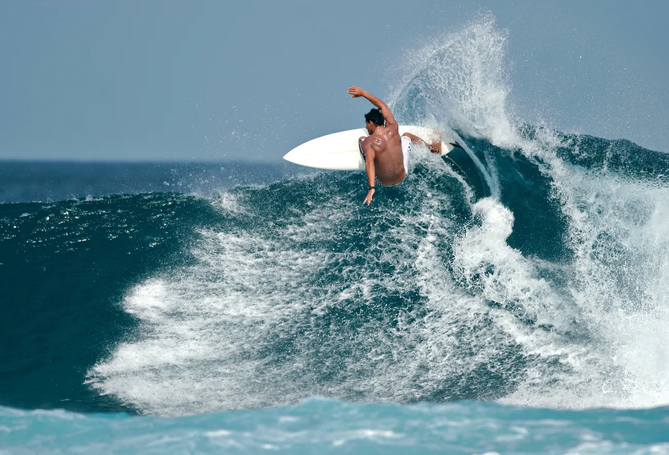 Read 'Surf Brands: From Niche Markets to Global Influence'