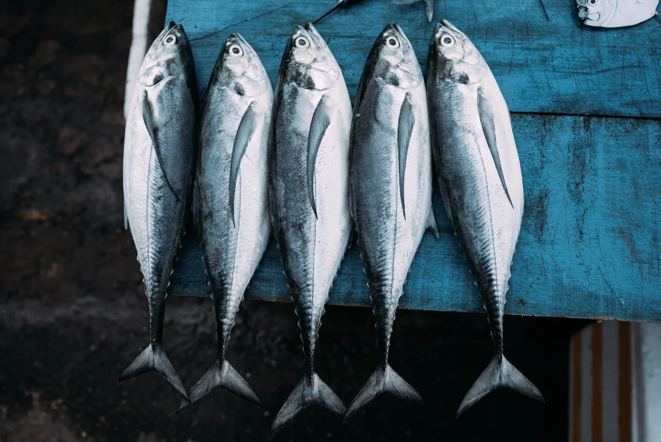 Read 'Grocery Prepares for Seafood Shift as Pacific Fishing Grounds Reopen'
